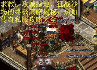 求教：攻城掠地，征战沙场的终极策略揭秘：热血传奇私服攻略大全