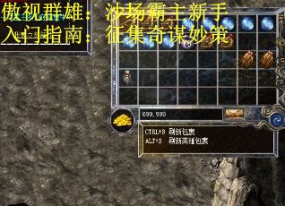 傲视群雄：沙场霸主新手入门指南：征集奇谋妙策