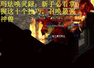 玛珐唤灵録：新手必看掌握这十个技巧，召唤最强神兽
