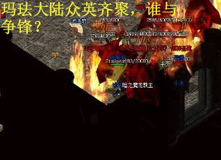 玛珐大陆众英齐聚，谁与争锋？
