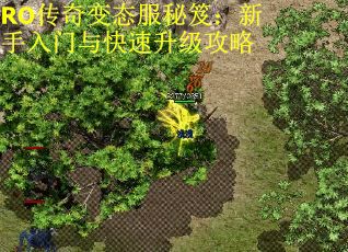 RO传奇变态服秘笈：新手入门与快速升级攻略
