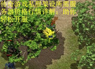 传奇游戏私服架设所需服务器价格行情详解：助你轻松开服
