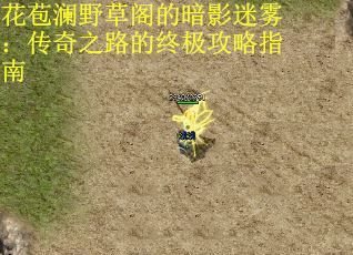 花苞澜野草阁的暗影迷雾：传奇之路的终极攻略指南