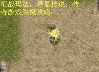 征战玛法，寻觅传说：传奇游戏终极攻略