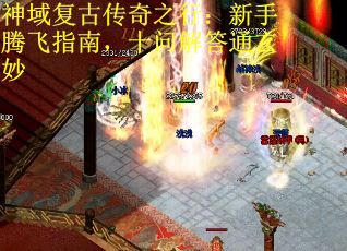 神域复古传奇之行：新手腾飞指南，十问解答通玄妙