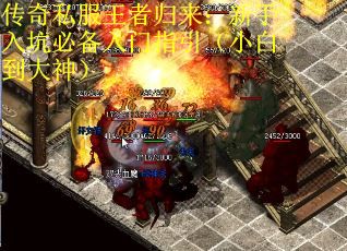 传奇私服王者归来：新手入坑必备入门指引（小白到大神）