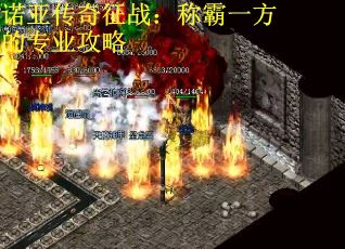 诺亚传奇征战：称霸一方的专业攻略