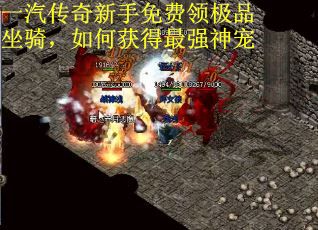 一汽传奇新手免费领极品坐骑，如何获得最强神宠