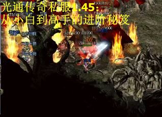 光通传奇私服1.45：从小白到高手的进阶秘笈