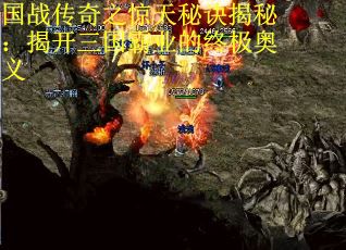 国战传奇之惊天秘诀揭秘：揭开三国霸业的终极奥义