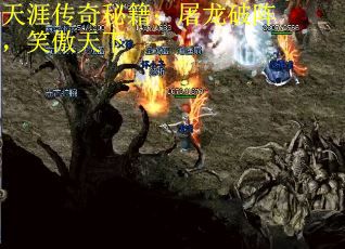 天涯传奇秘籍：屠龙破阵，笑傲天下