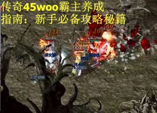传奇45woo霸主养成指南：新手必备攻略秘籍