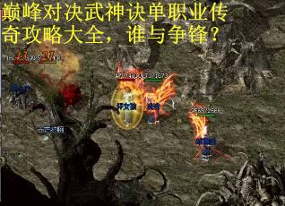 巅峰对决武神诀单职业传奇攻略大全，谁与争锋？