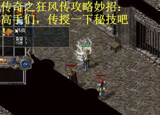 传奇之狂风传攻略妙招：高手们，传授一下秘技吧！