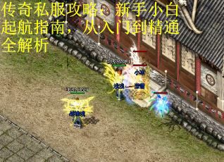 传奇私服攻略：新手小白起航指南，从入门到精通全解析