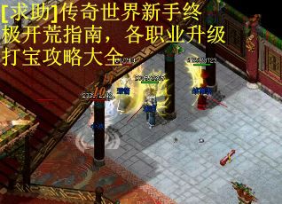 [求助]传奇世界新手终极开荒指南，各职业升级打宝攻略大全