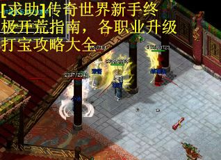 [求助]传奇世界新手终极开荒指南，各职业升级打宝攻略大全