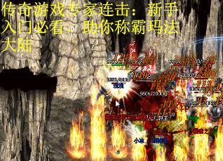 传奇游戏专家连击：新手入门必看，助你称霸玛法大陆