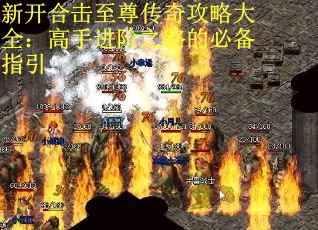 新开合击至尊传奇攻略大全：高手进阶之路的必备指引