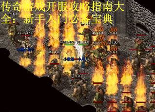 传奇游戏开服攻略指南大全：新手入门必备宝典