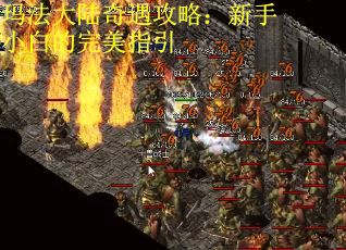 玛法大陆奇遇攻略：新手小白的完美指引