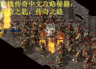 玫瑰传奇中文攻略秘籍：破敌之匙，传奇之路
