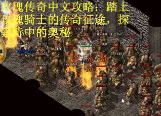 玫瑰传奇中文攻略：踏上玫瑰骑士的传奇征途，探索诗中的奥秘