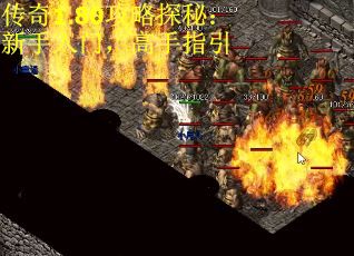 传奇1.80攻略探秘：新手入门，高手指引