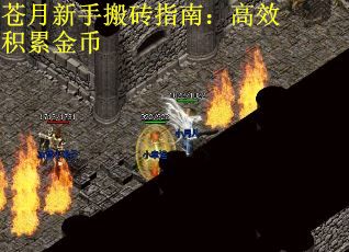 苍月新手搬砖指南：高效积累金币