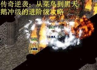传奇逆袭：从菜鸟到黑天鹅冲级的进阶级攻略