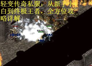 轻变传奇私服：从新手小白到终极王者，全方位攻略详解
