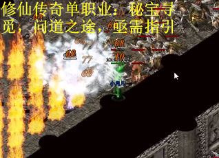 修仙传奇单职业：秘宝寻觅，问道之途，亟需指引