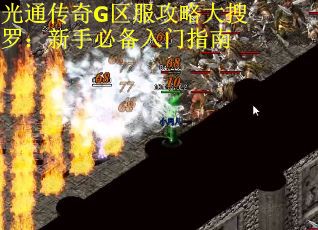 光通传奇G区服攻略大搜罗：新手必备入门指南