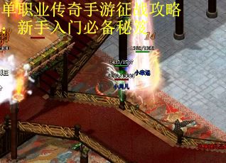 单职业传奇手游征战攻略：新手入门必备秘笈