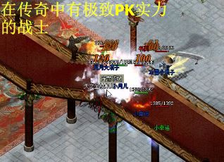 在传奇中有极致PK实力的战士
