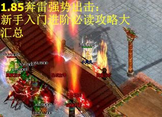 1.85奔雷强势出击：新手入门进阶必读攻略大汇总