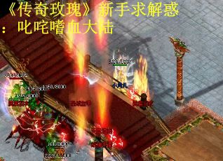 《传奇玫瑰》新手求解惑：叱咤嗜血大陆