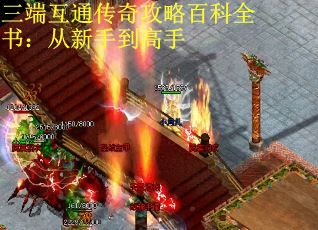 三端互通传奇攻略百科全书：从新手到高手