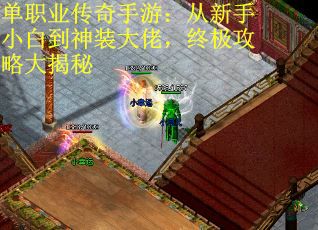 单职业传奇手游：从新手小白到神装大佬，终极攻略大揭秘