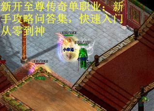 新开至尊传奇单职业：新手攻略问答集，快速入门从零到神