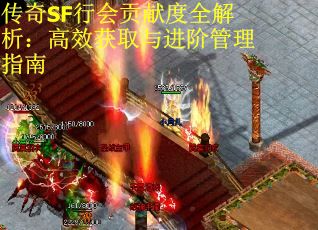 传奇SF行会贡献度全解析：高效获取与进阶管理指南