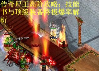 传奇尸王高阶攻略：技能书与顶级装备终极爆率解析