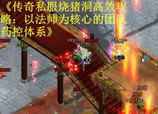 《传奇私服烧猪洞高效攻略：以法师为核心的团队药控体系》