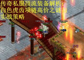 传奇私服顶流装备解析：白色虎齿项链高价之谜与实战策略