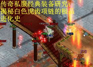 传奇私服经典装备研究：揭秘白色虎齿项链的极品进化史