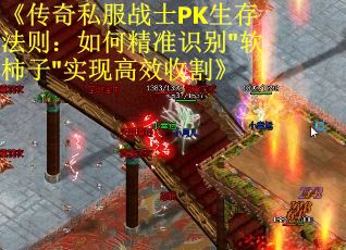 《传奇私服战士PK生存法则：如何精准识别