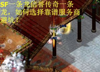 SF一条龙信誉传奇一条龙，如何选择靠谱服务商避坑？