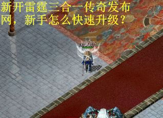 新开雷霆三合一传奇发布网，新手怎么快速升级？